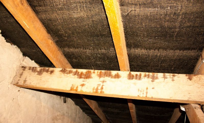 Crawl Space Remediation in Summerville, SC